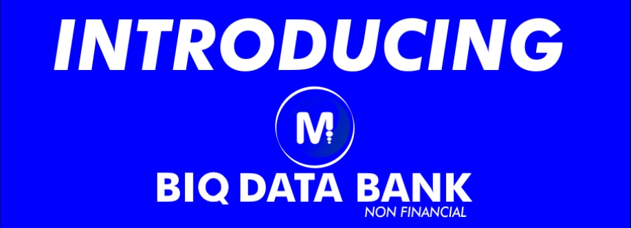 BIQ Data Bank Cover Image